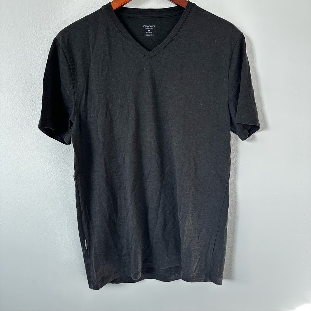 Icebreaker Men's Dark Brown V-Neck T-Shirt